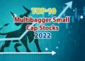 Top 10 Multibagger Small Cap Stock